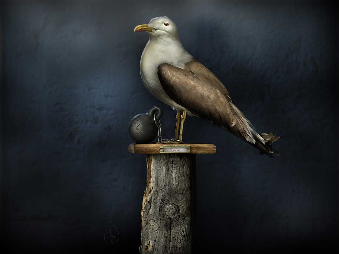Do Not Fly