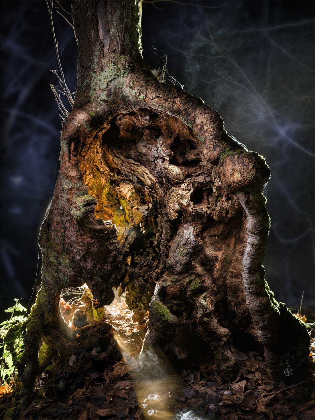 Den som föds av rot och natt