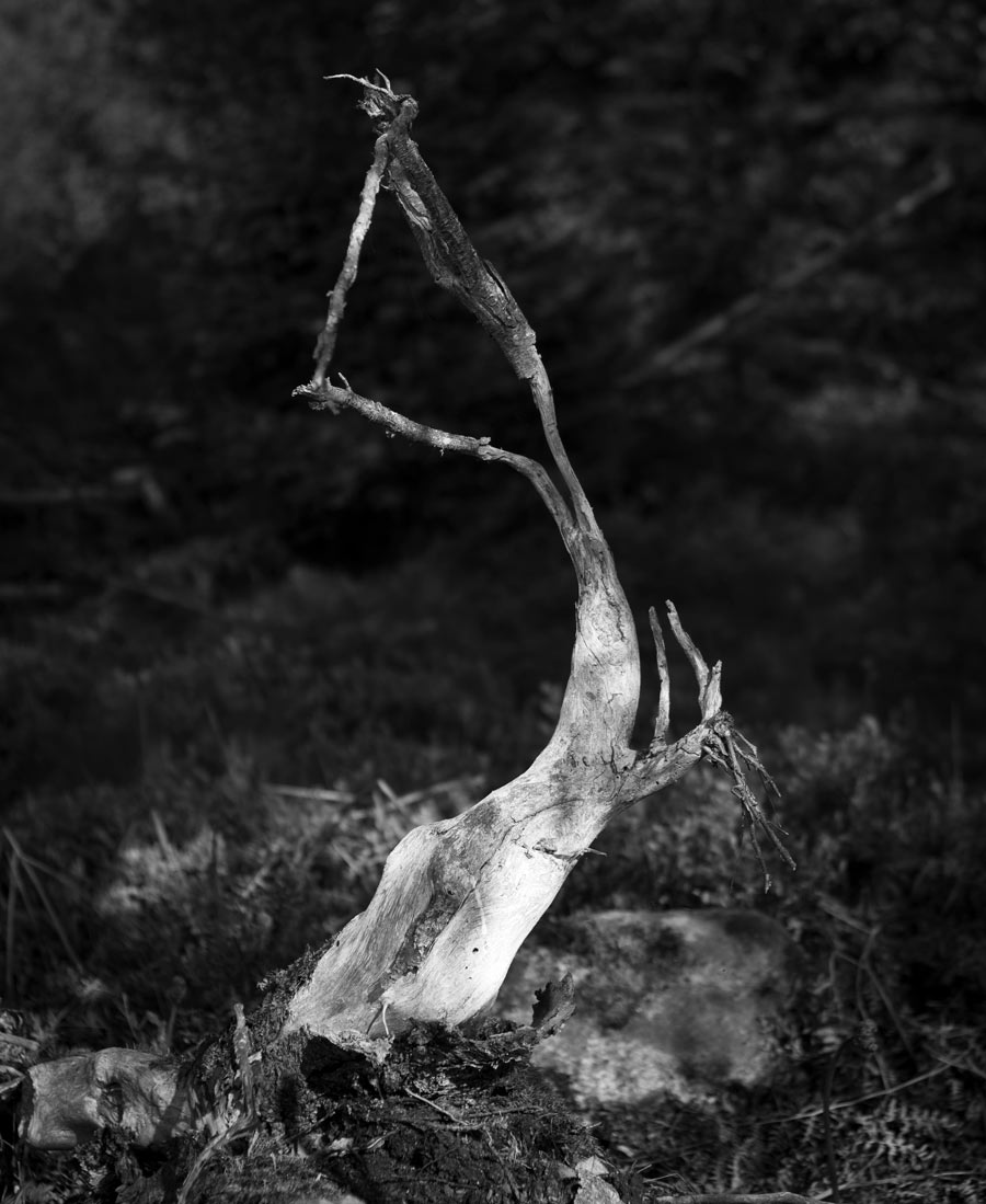 Naturens Hand