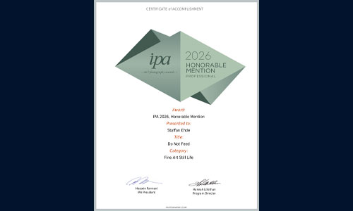 IPA 2026