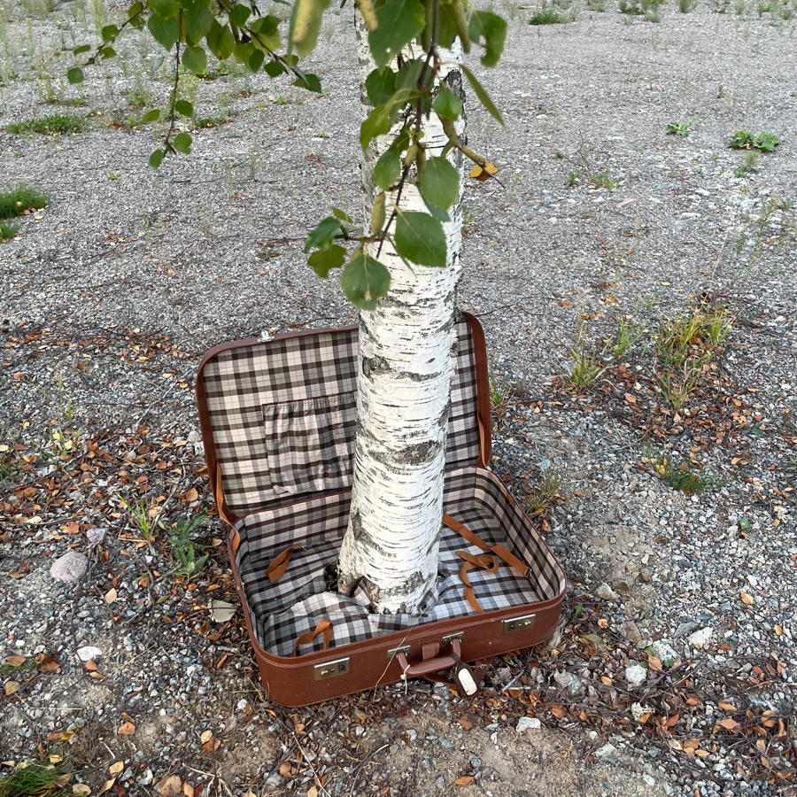 Björken ur väskan
